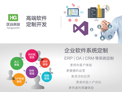 軟件定制開發服務 企業軟件高端定制